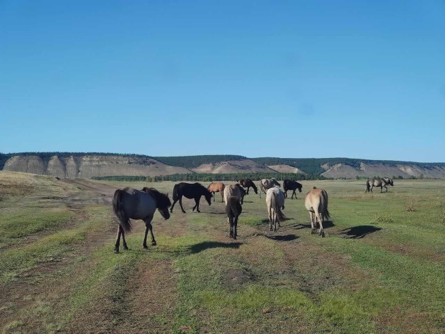 2000 м², земельные участки, продаю