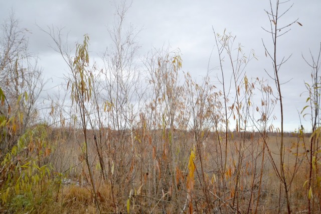 1220 м², земельные участки, продаю 2