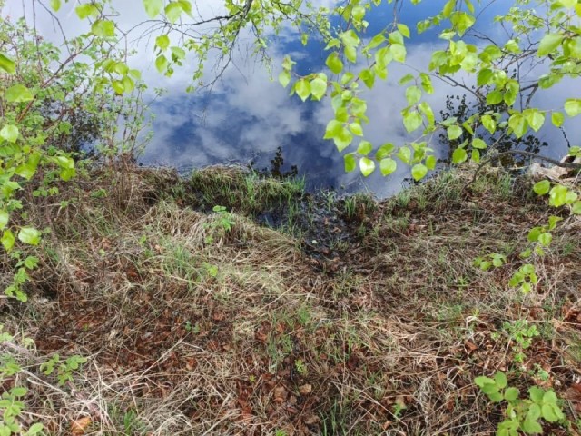 1213 м², земельные участки, продаю 8