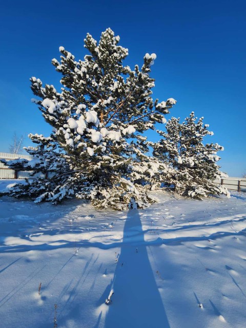 1067 м², земельные участки, продаю 7