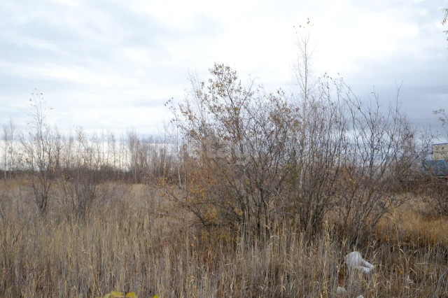 1220 м², земельные участки, продаю 11