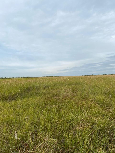 3000 м², земельные участки, продаю 5