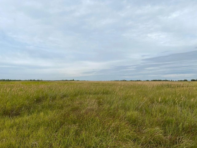 3000 м², земельные участки, продаю 2