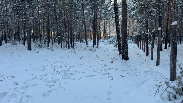 1000 м², земельные участки, продаю