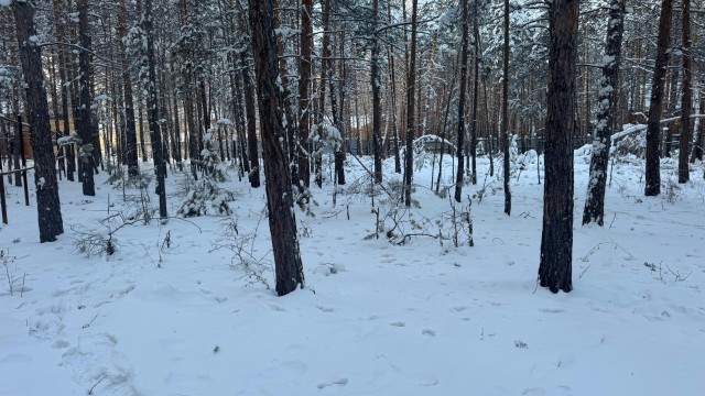 1000 м², земельные участки, продаю 5