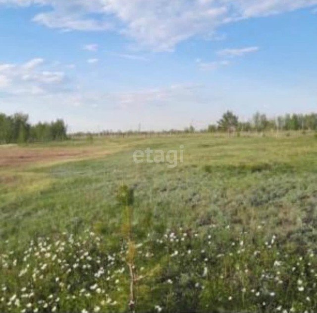 11300 м², земельные участки, продаю 4