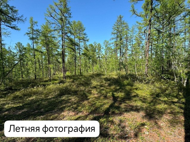 954 м², земельные участки, продаю 6