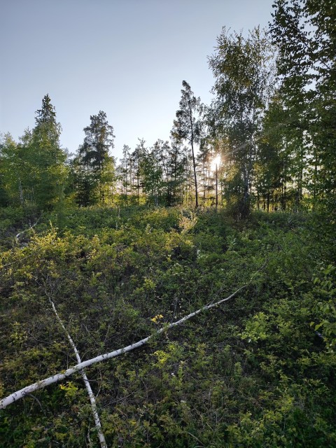 10000 м², земельные участки, продаю