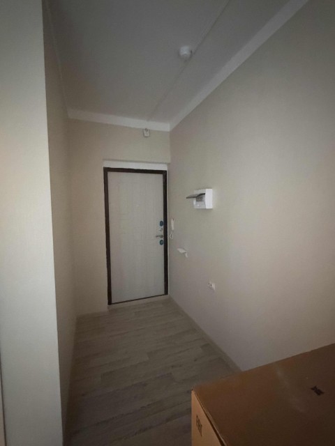 1 комн., 55 м², Монолитно-каркасный, Звездный 5