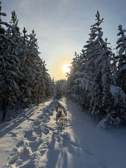 100000 м², земельные участки, продаю 6