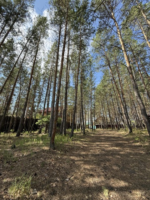 3000 м², земельные участки, продаю 5