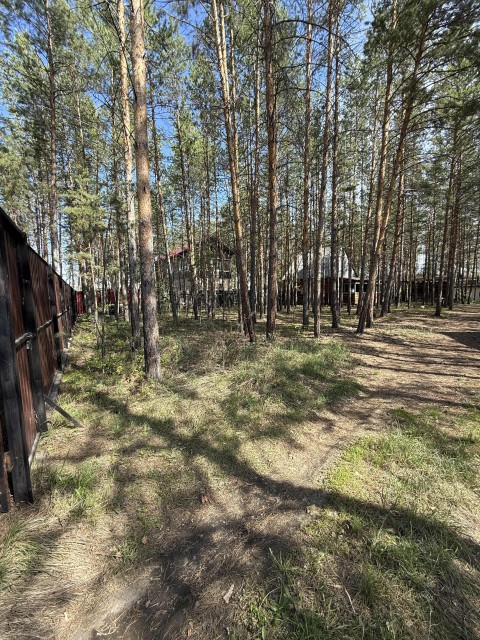 3000 м², земельные участки, продаю 6