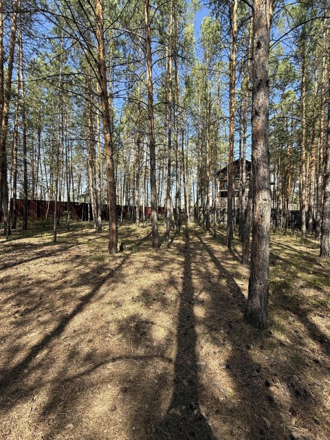 3000 м², земельные участки, продаю 9