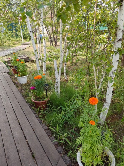 2300 м², земельные участки, продаю 7