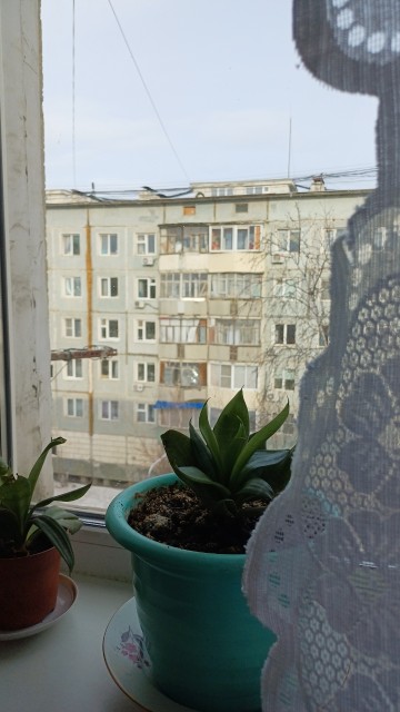 2 комн., 47 м², КПД, Апельсин 5