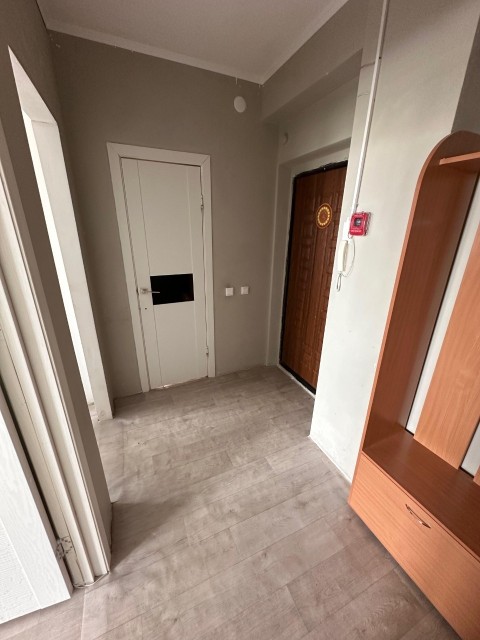 1 комн., Монолитно-каркасный, Глазная больница 4