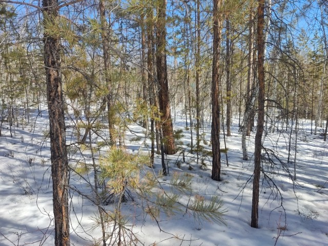 900 м², земельные участки, продаю 4