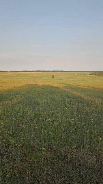 2026460 м², земельные участки, продаю 4