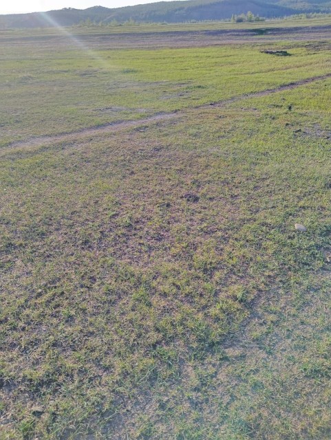 Земельные участки, продаю 4