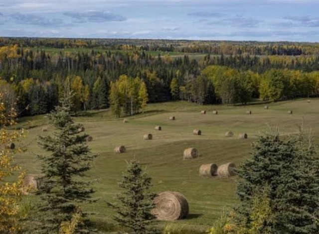 39000 м², земельные участки, продаю 3