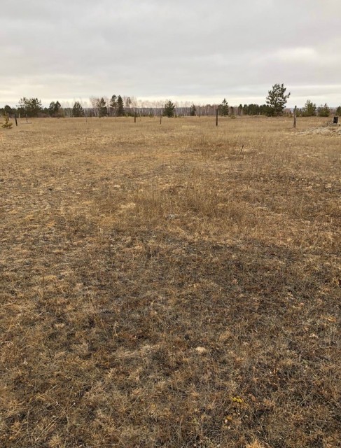 1000 м², земельные участки, продаю