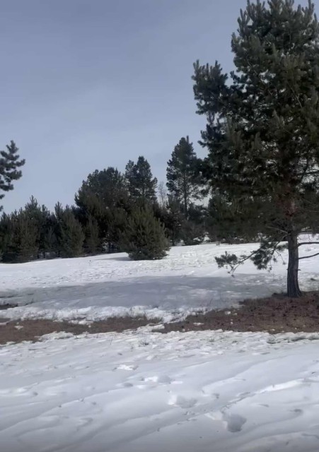 650 м², земельные участки, продаю 2