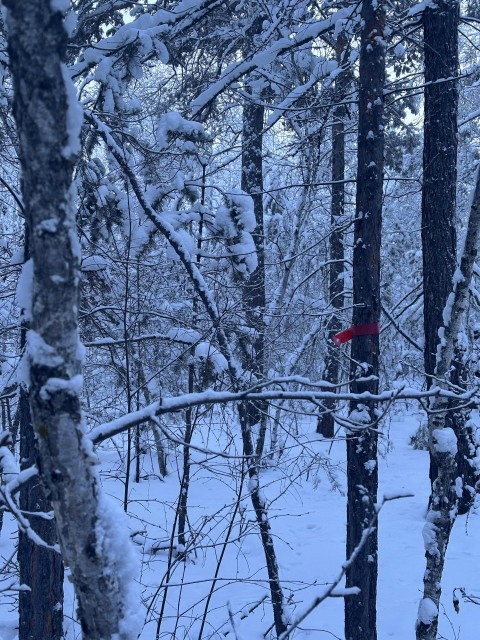 1000 м², земельные участки, продаю 2