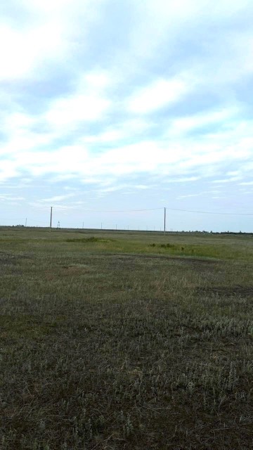 10000 м², земельные участки, продаю