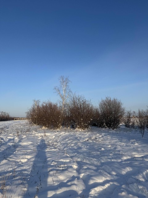 2000 м², земельные участки, продаю 3