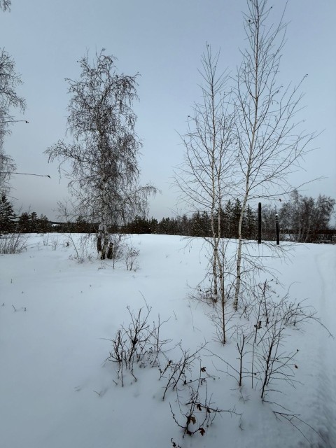 1000 м², земельные участки, продаю 5