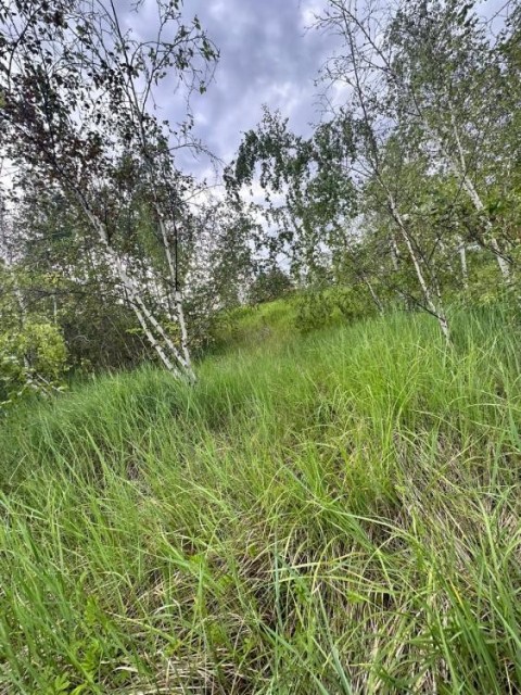 15 м², земельные участки, продаю 4