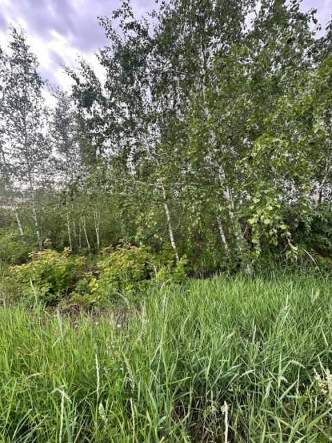 15 м², земельные участки, продаю 6