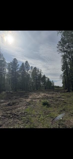 770 м², земельные участки, продаю 3