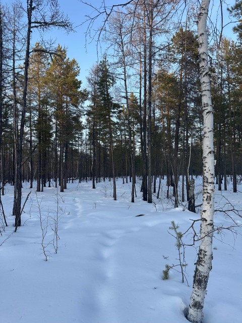 2000 м², земельные участки, продаю