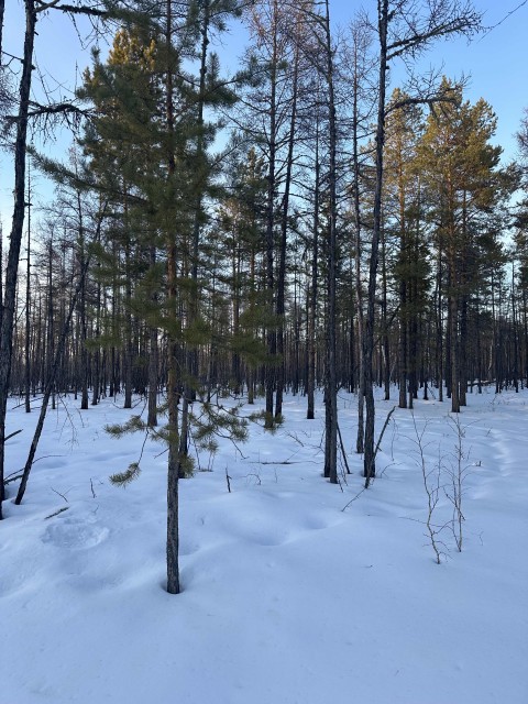 2000 м², земельные участки, продаю 3