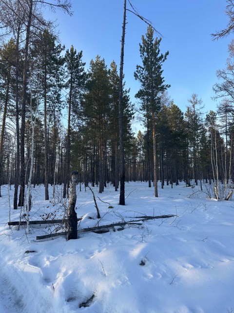 2000 м², земельные участки, продаю 2