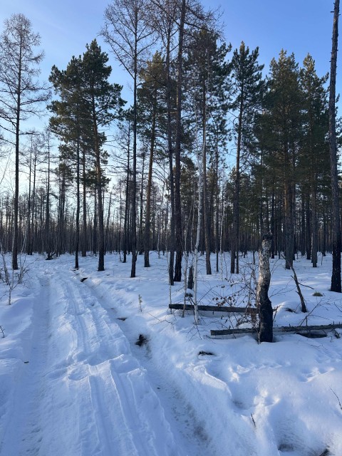 2000 м², земельные участки, продаю 7