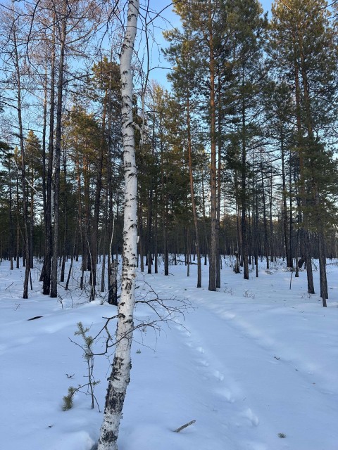 2000 м², земельные участки, продаю 11