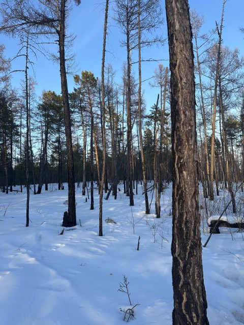 2000 м², земельные участки, продаю 12