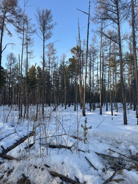 2000 м², земельные участки, продаю 6