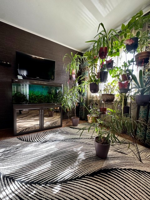 2 комн., 50 м², Монолитно-каркасный, Площадь Победы 5