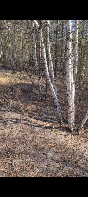 736 м², земельные участки, продаю