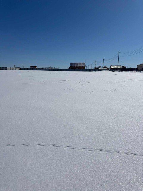 1000 м², земельные участки, продаю 6