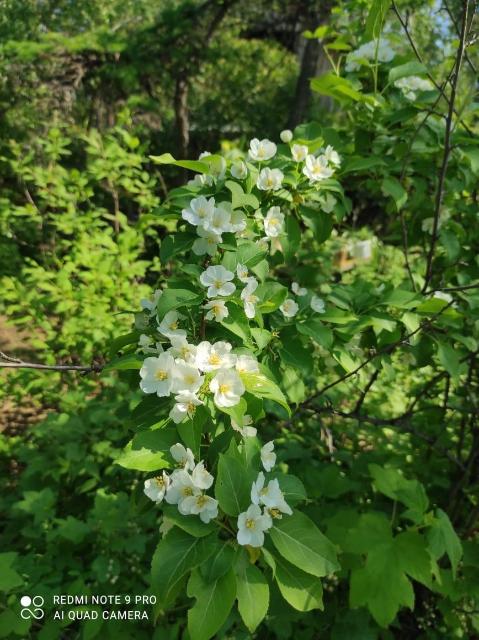 1900 м², земельные участки, продаю