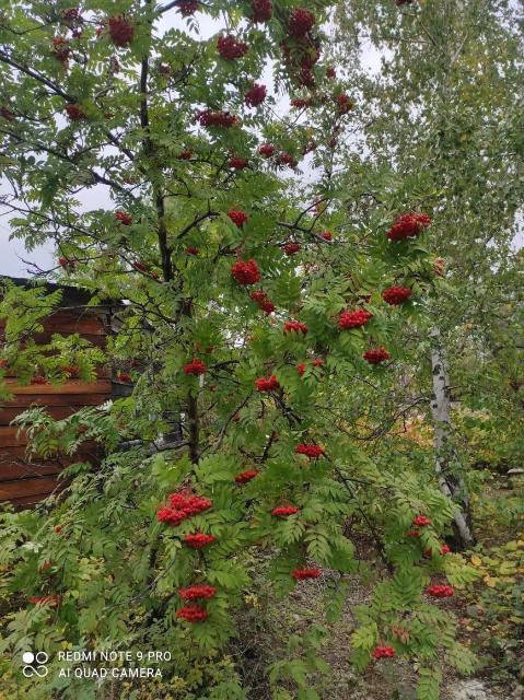 1900 м², земельные участки, продаю 15