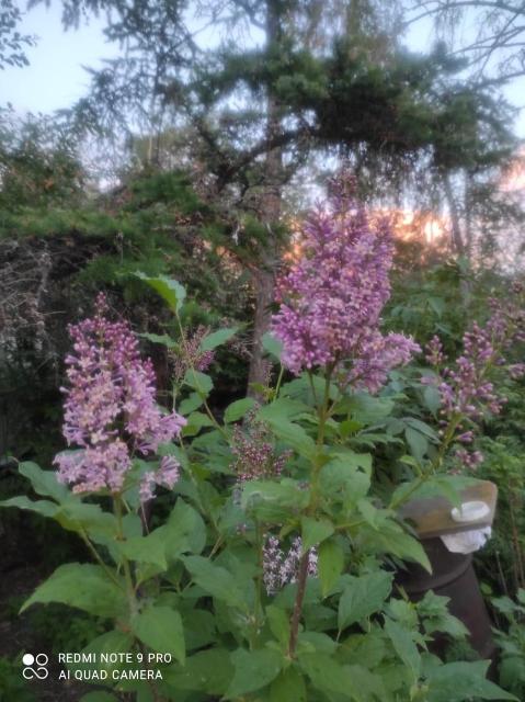 1900 м², земельные участки, продаю 18