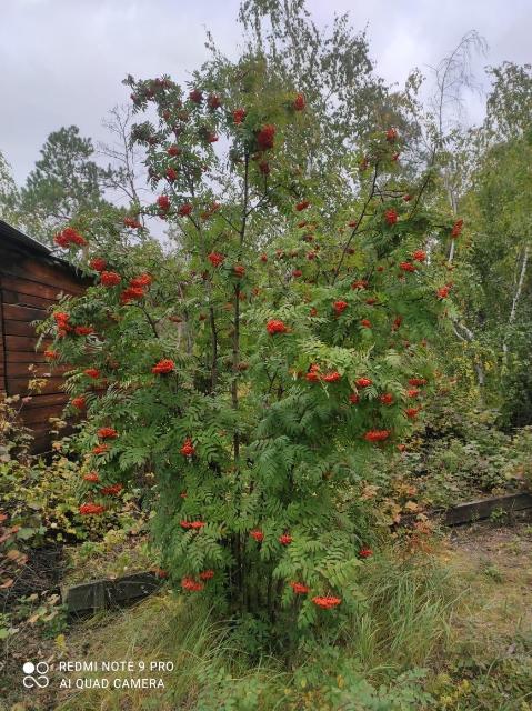 1900 м², земельные участки, продаю 16