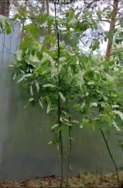 1900 м², земельные участки, продаю 9