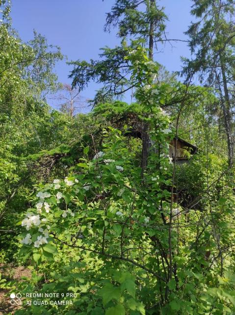 1900 м², земельные участки, продаю 14