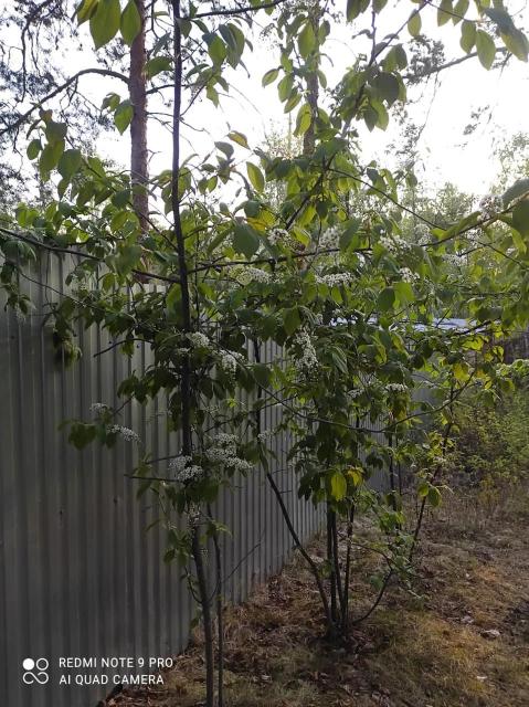 1900 м², земельные участки, продаю 12